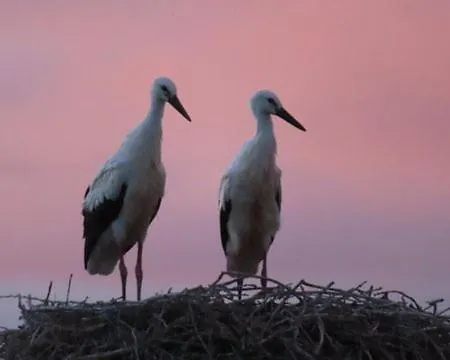 Maison Entre Terre Et * Curzon
