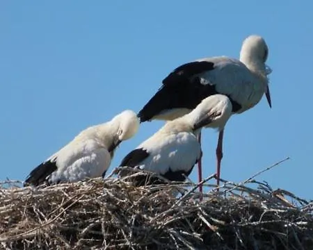 Holiday home Maison Entre Terre Et Curzon