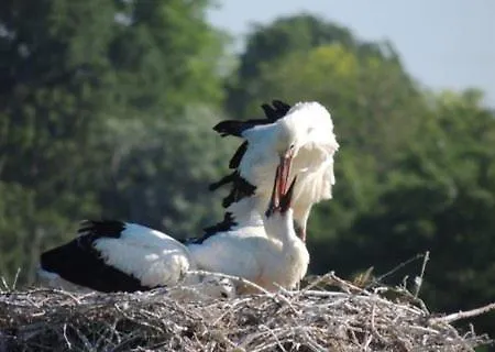 Maison Entre Terre Et * Curzon