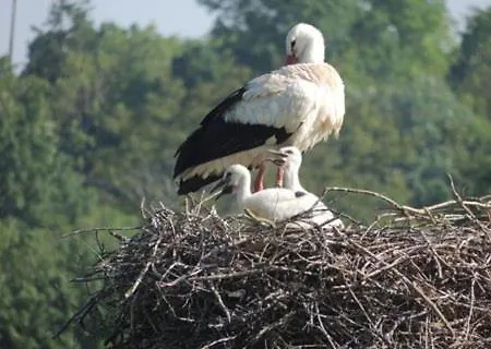 Maison Entre Terre Et *