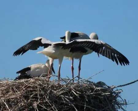 Maison Entre Terre Et