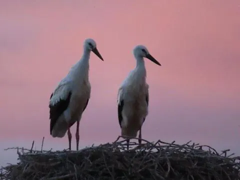 Maison Entre Terre Et * Curzon