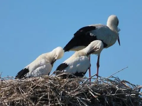 בית נופש Maison Entre Terre Et Curzon