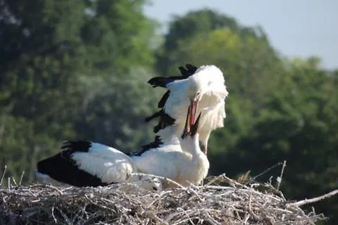 Maison Entre Terre Et * Curzon