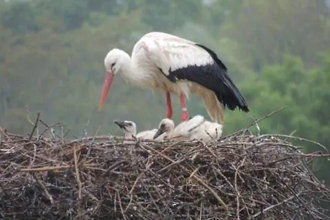 Maison Entre Terre Et בית נופש