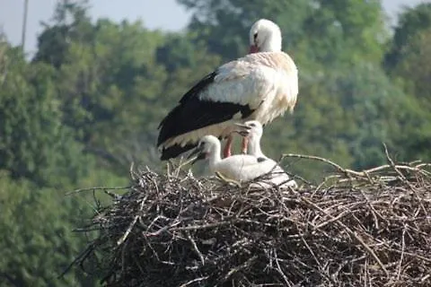 Maison Entre Terre Et *