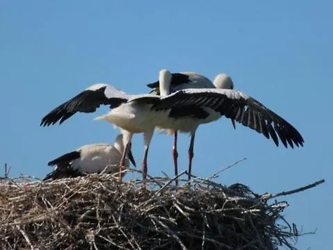 Maison Entre Terre Et